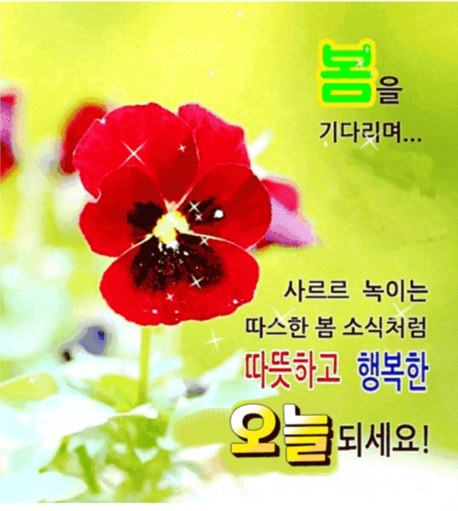 마음의꽃 이미지