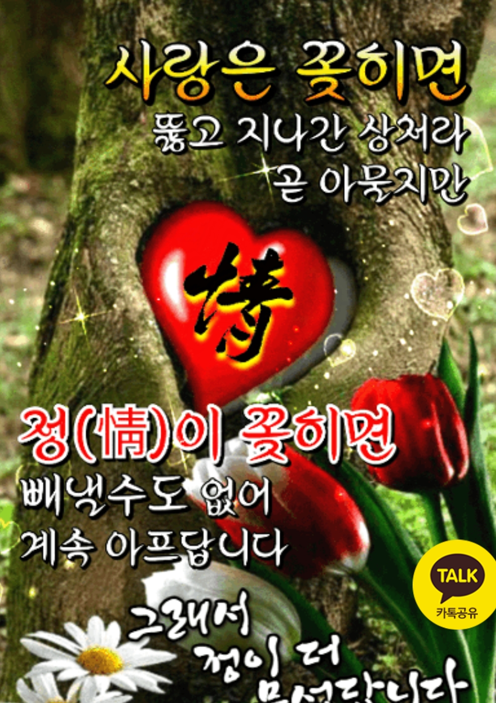 정(情) 이미지