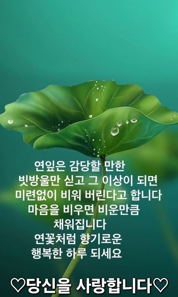 대서 이미지
