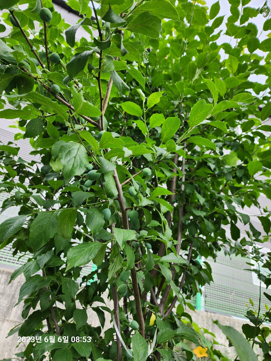 힐링공방 이미지