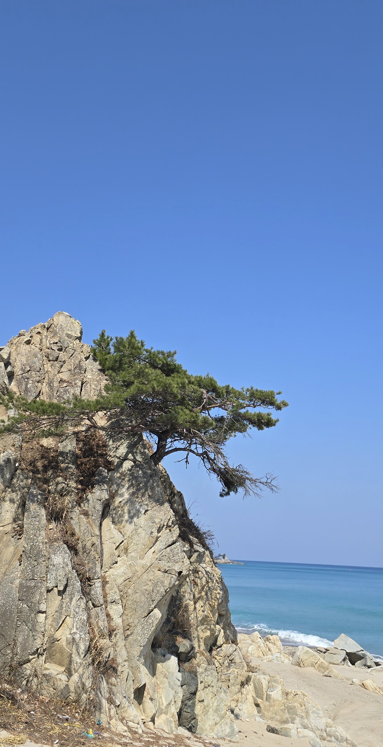 면사무소 이미지