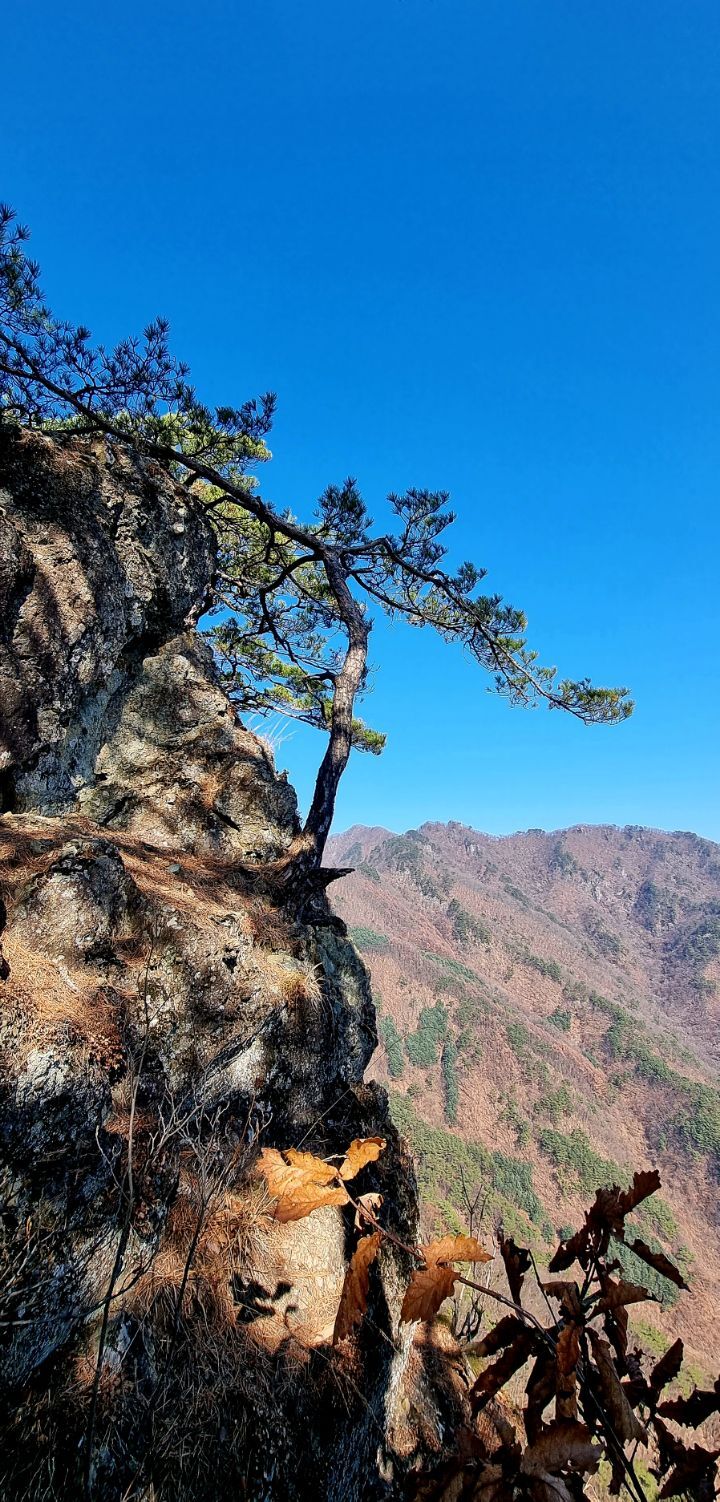 병무산 이미지