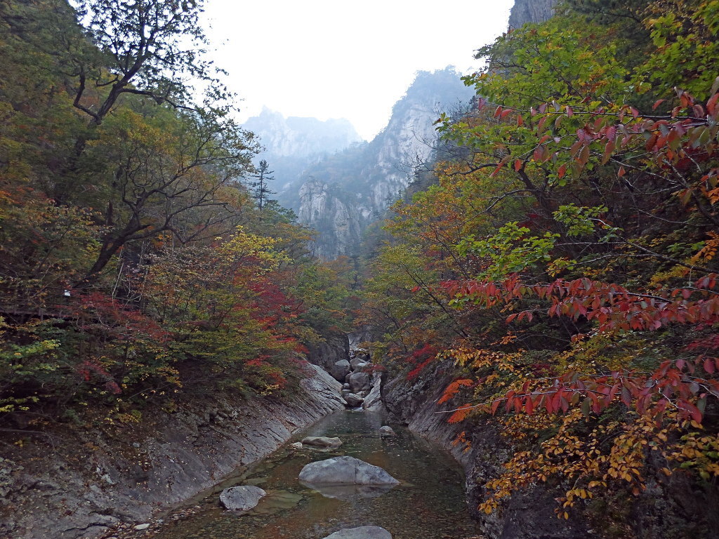 2021년 10월 7일(목) ▶[양양] 설악산 제472회 산행 일정 - 정기산행 일정 - 신마포산악회 2021년 10월 7일(목) ▶[양양] 설악산 제472회... 