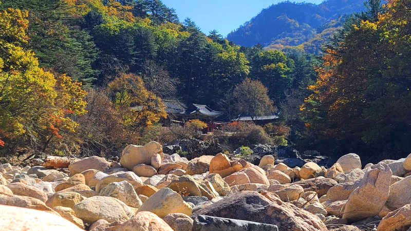 설악당 이미지