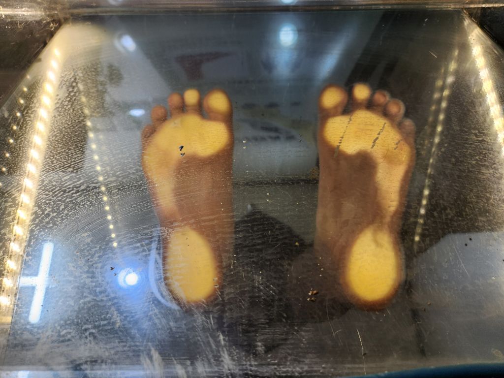 이리스스포츠 이미지