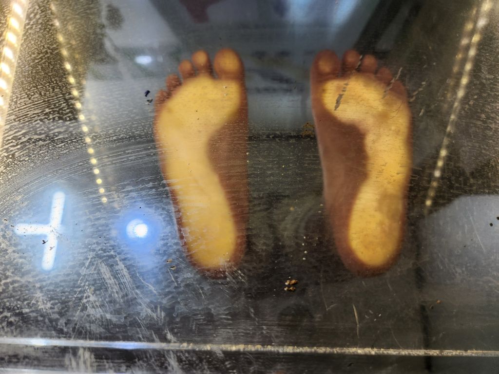 이리스스포츠 이미지