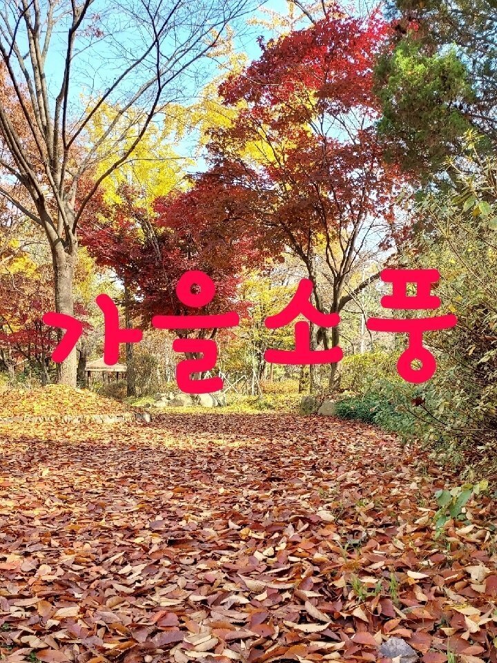이루아 이미지
