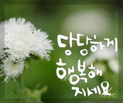 예쁜글씨 이미지