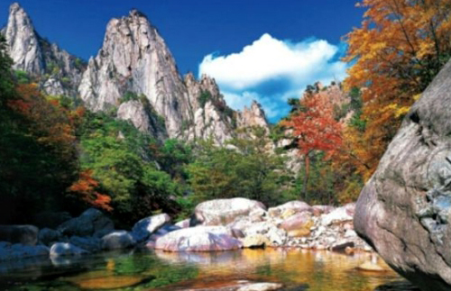 소중한지금 이미지
