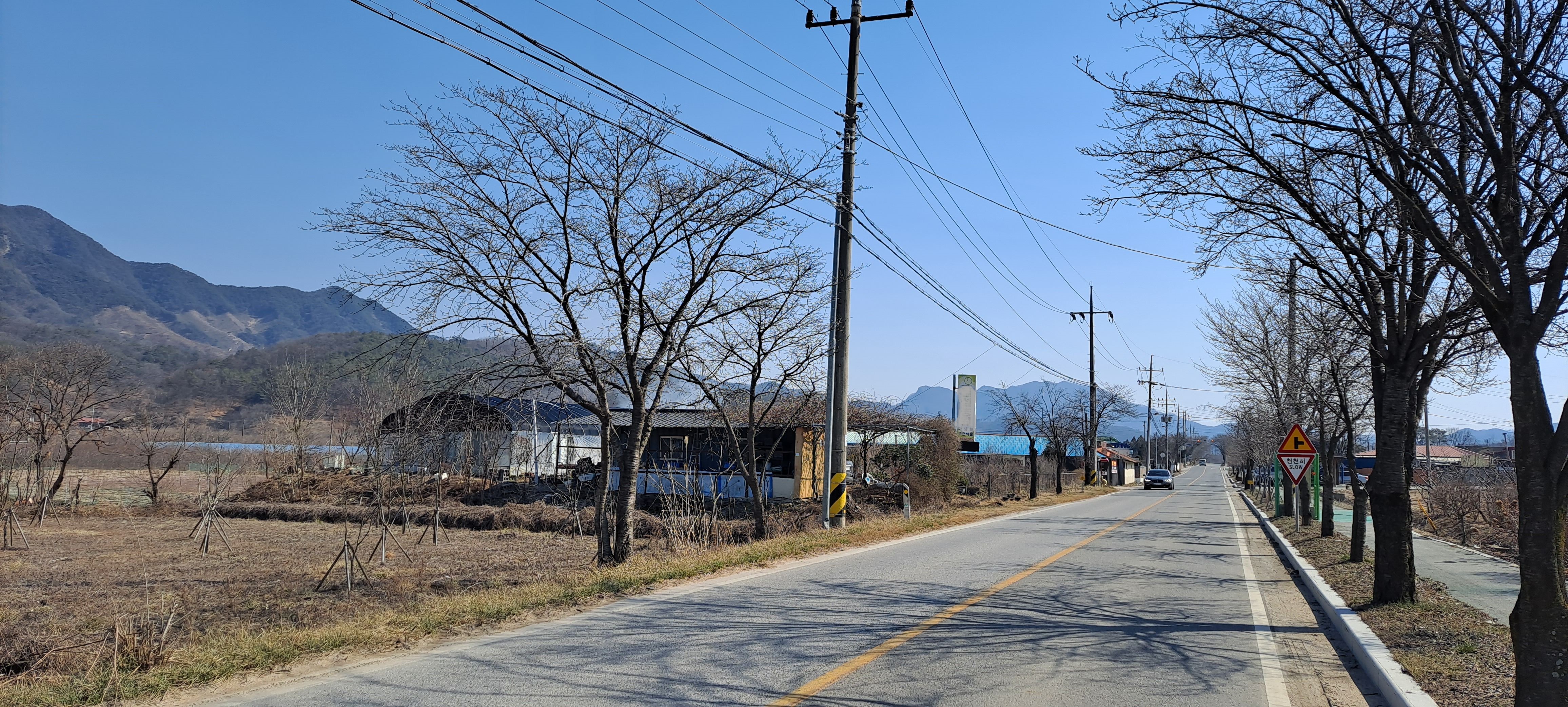 야생화농원 이미지