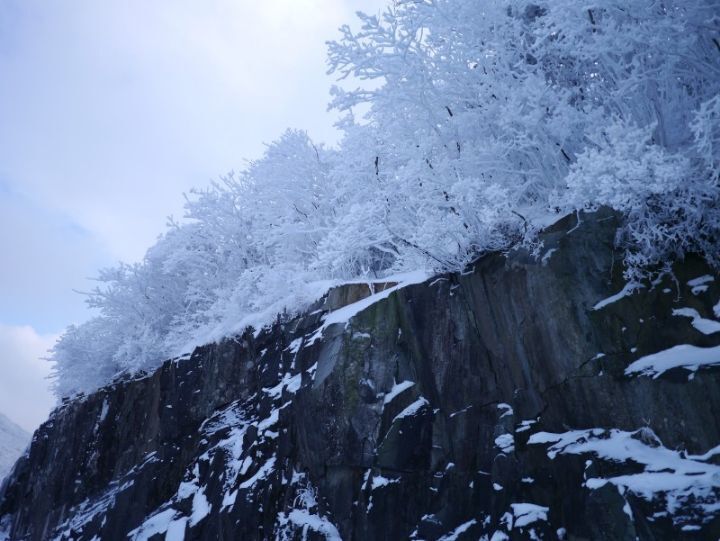 서석주유소 이미지