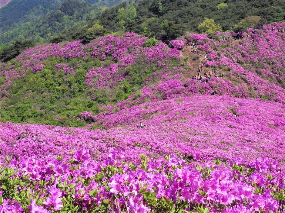 보훈주유소 이미지