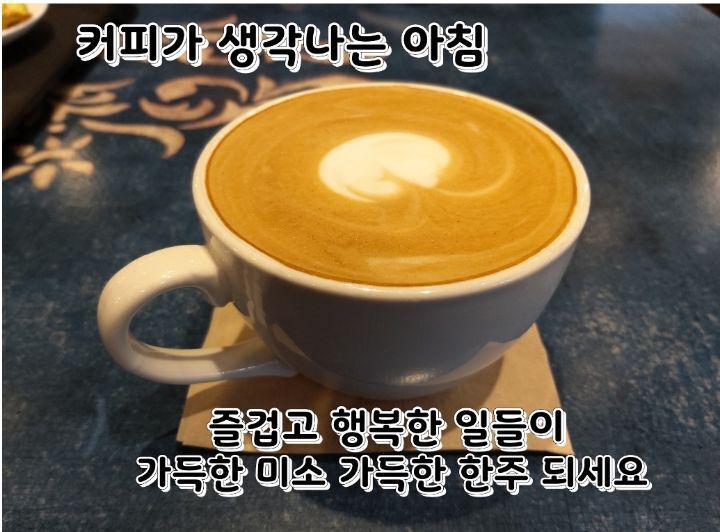도라지와하수오를사랑하는사람들 이미지