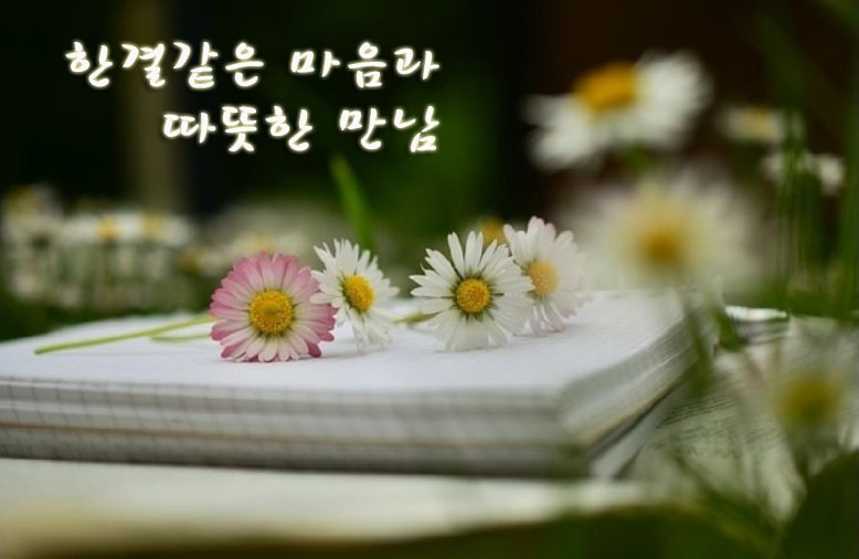 따뜻한마음 이미지
