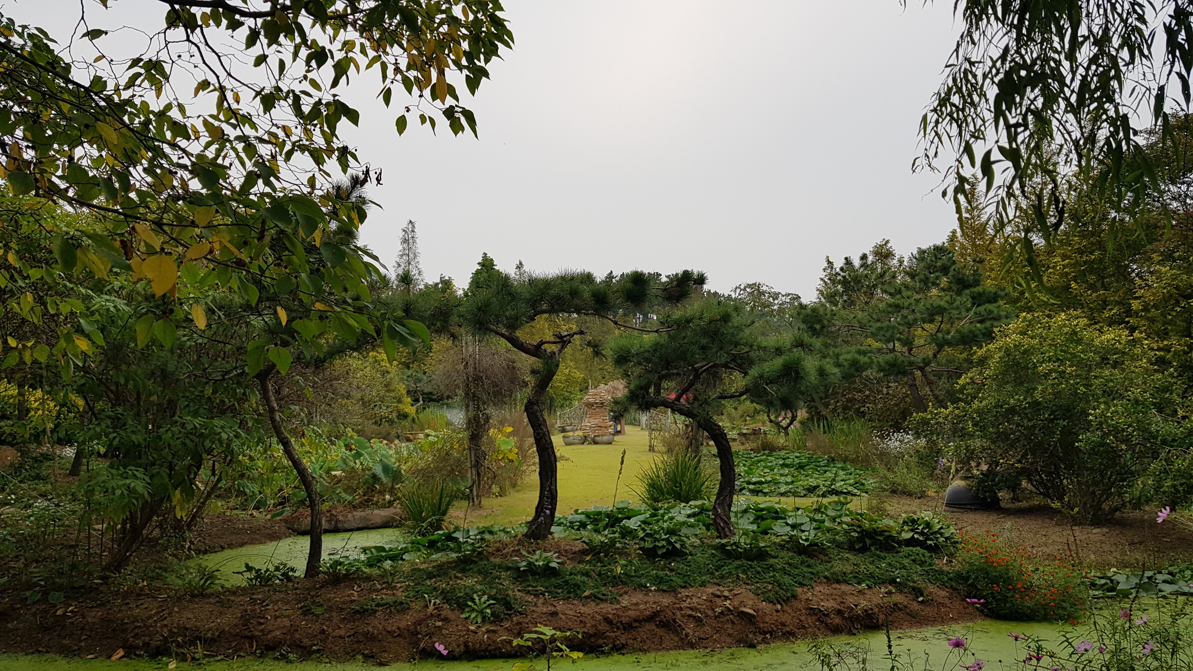 청산수목원 이미지