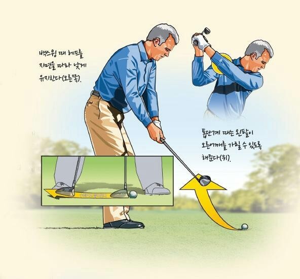 우드그린 이미지