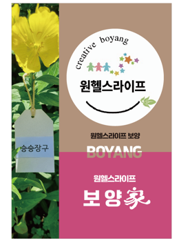 헬스라이프스토리 이미지