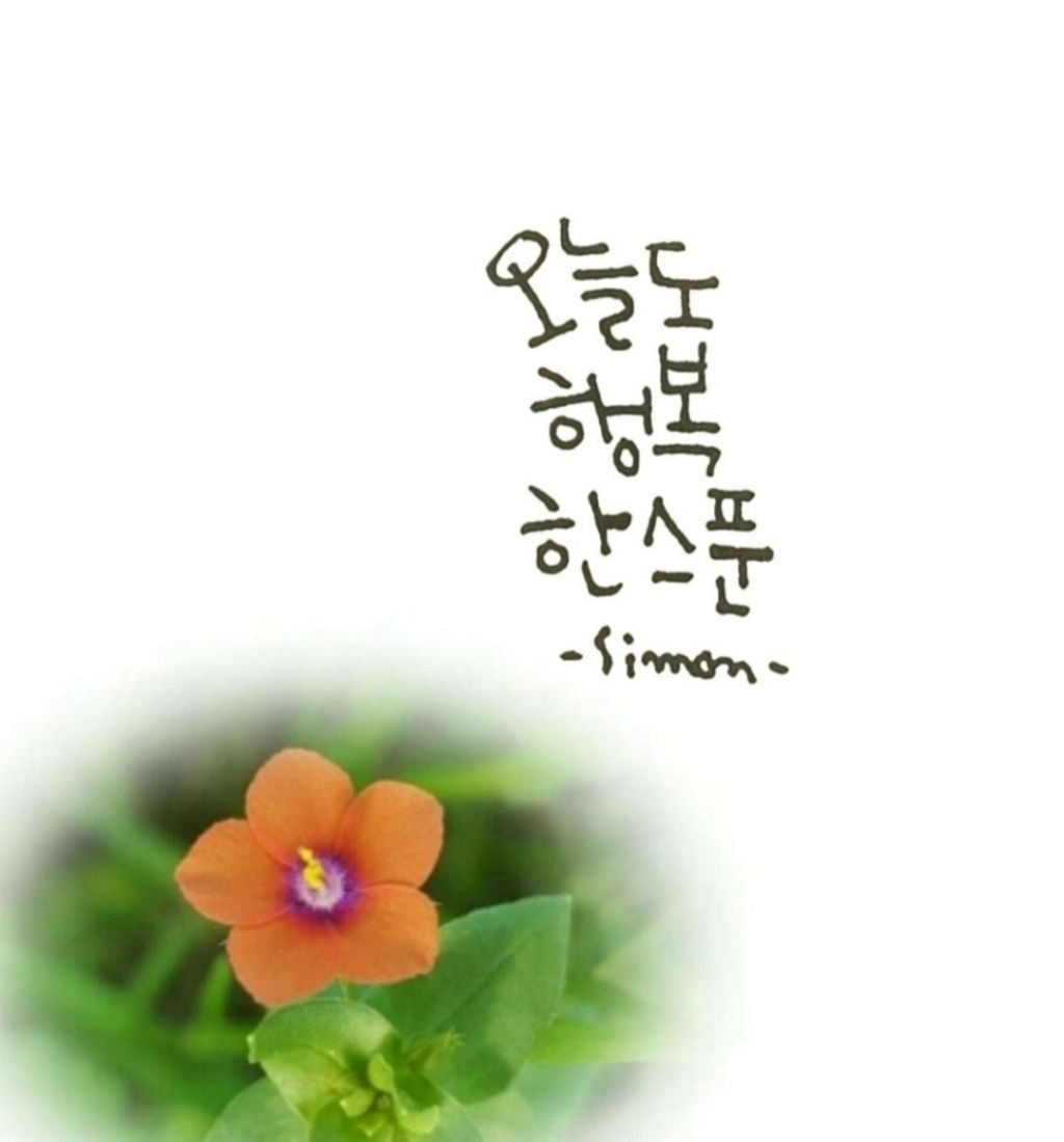 그대 있음에 이미지