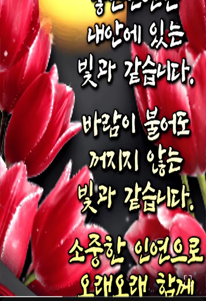 행복한아침 이미지