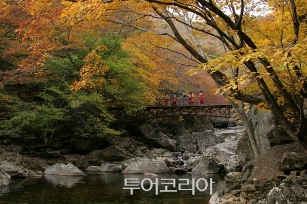 백양푸드 이미지