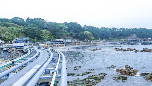 지금 가면 좋은 여행지..