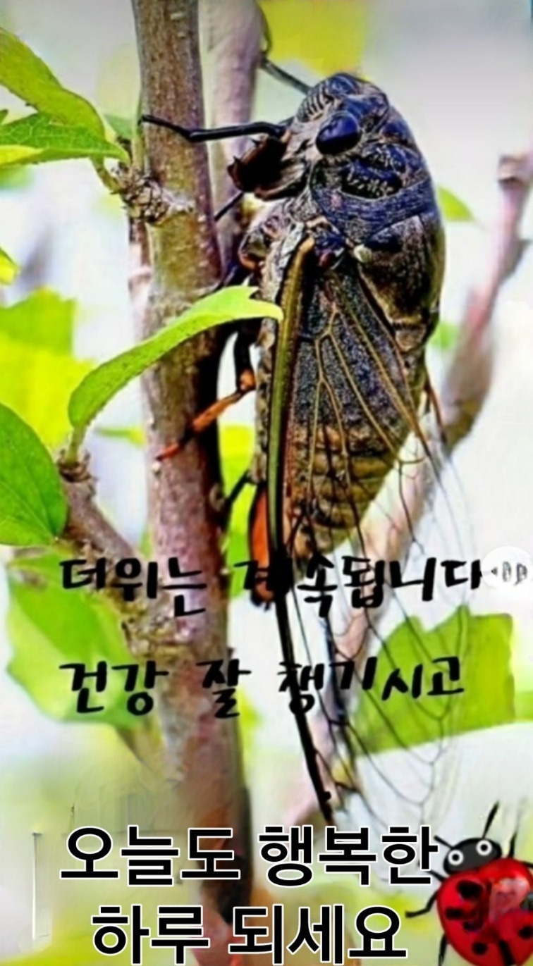 너참예쁘다 이미지