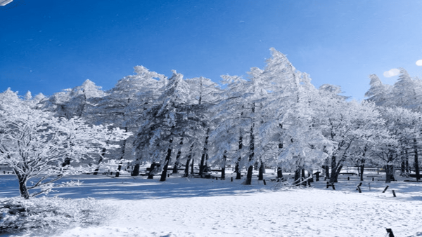 지금 가면 좋은 여행지..