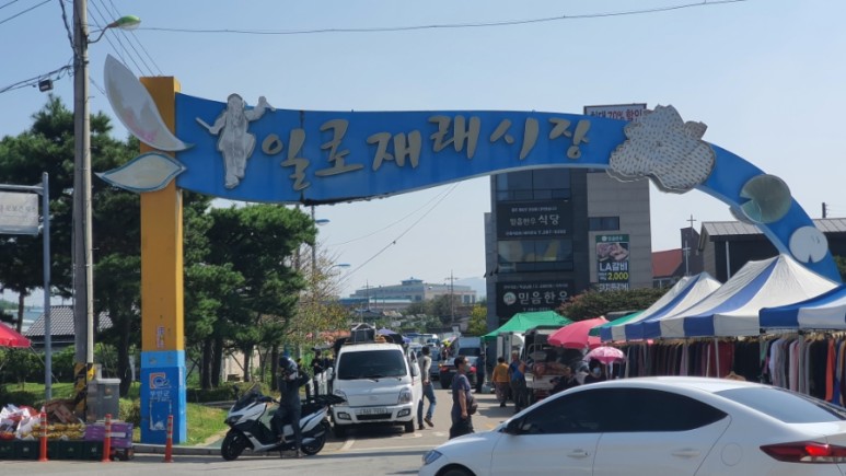 일로 이미지