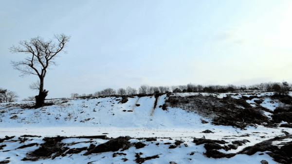 지금 가면 좋은 여행지..