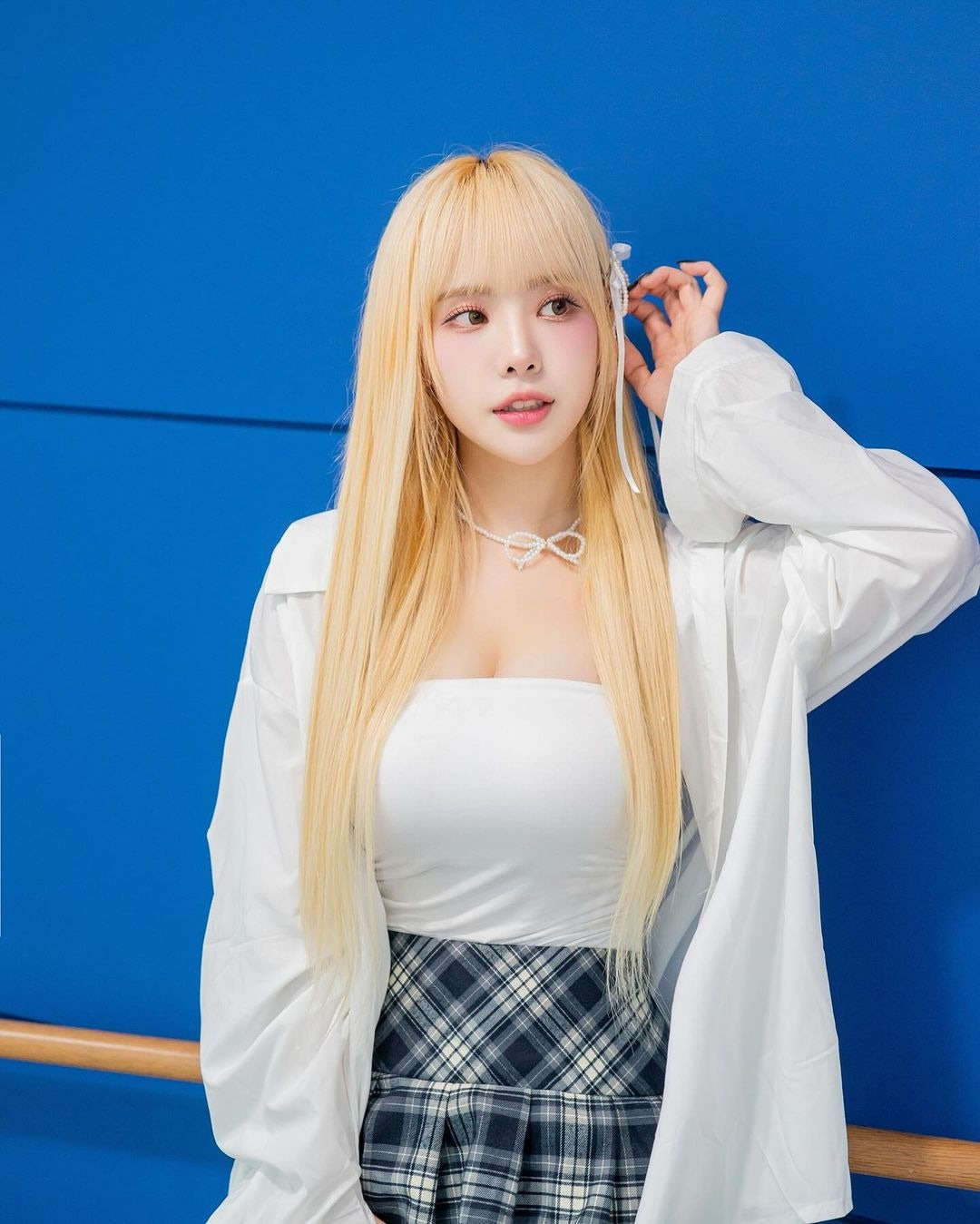 다미 이미지