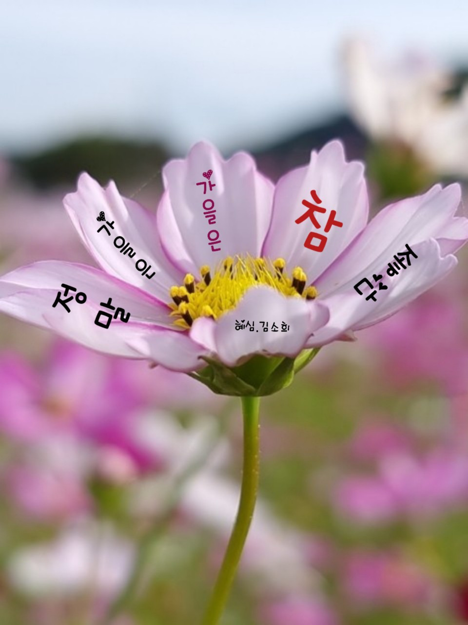 멋진하루 이미지