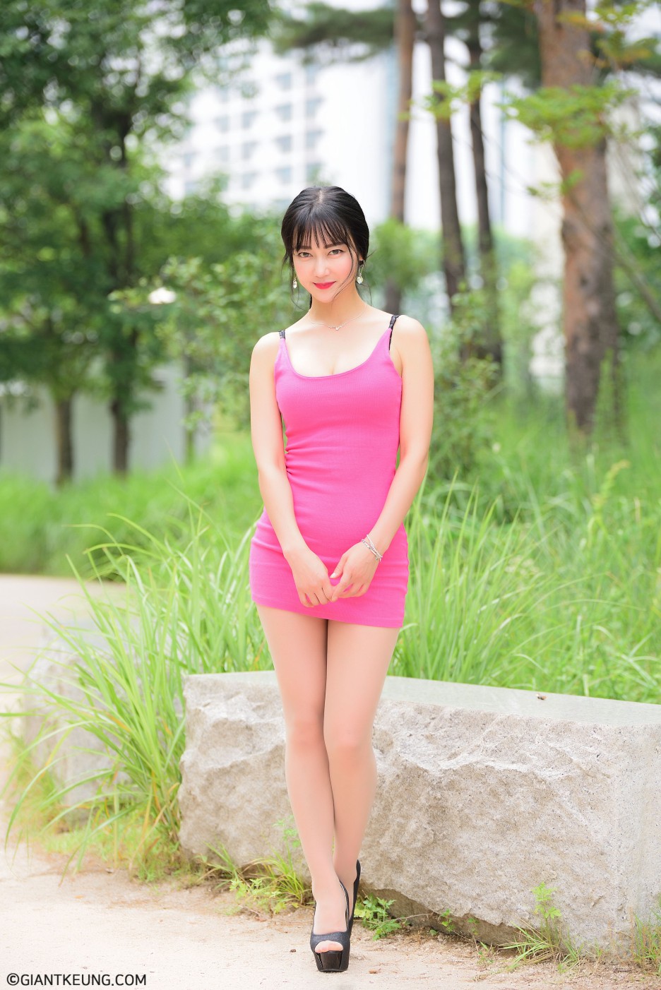 바람난고양이 이미지