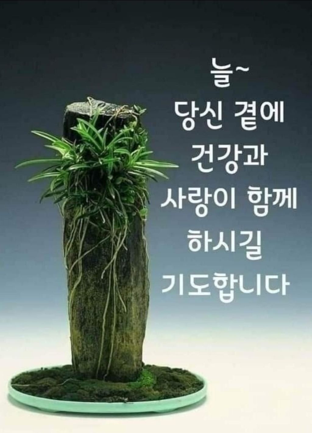 너참예쁘다 이미지