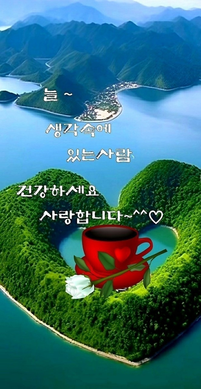 복되고 이미지