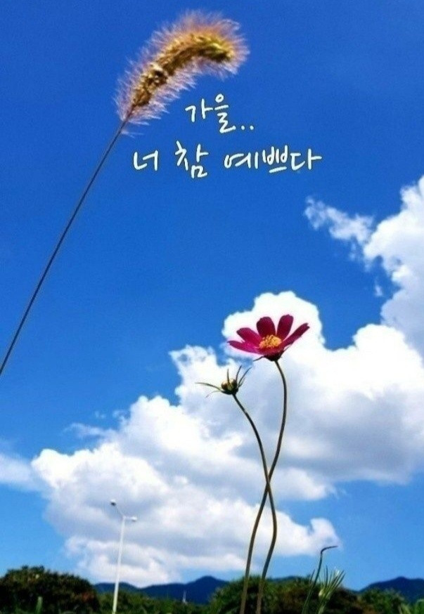 너참예쁘다 이미지