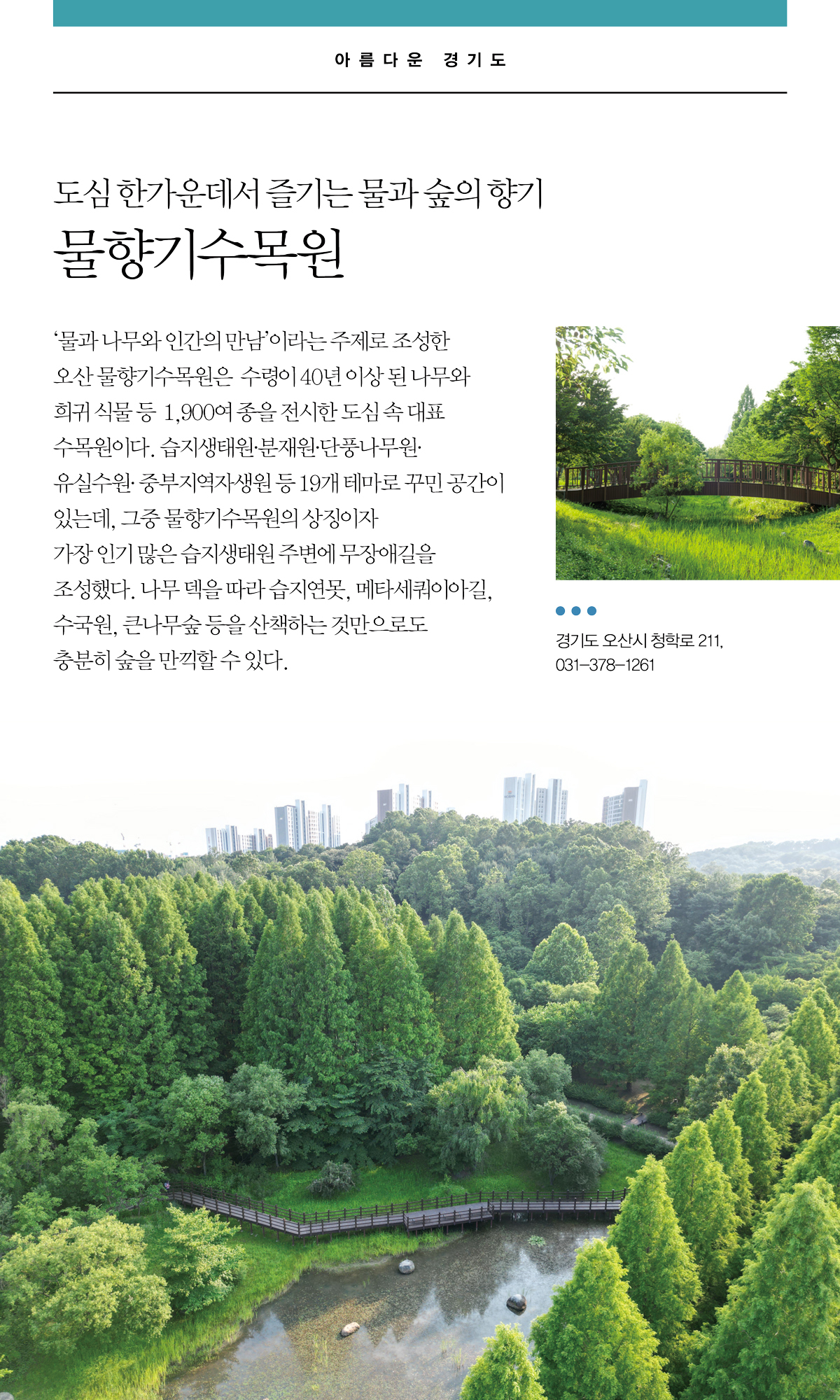 숲속분재원 이미지