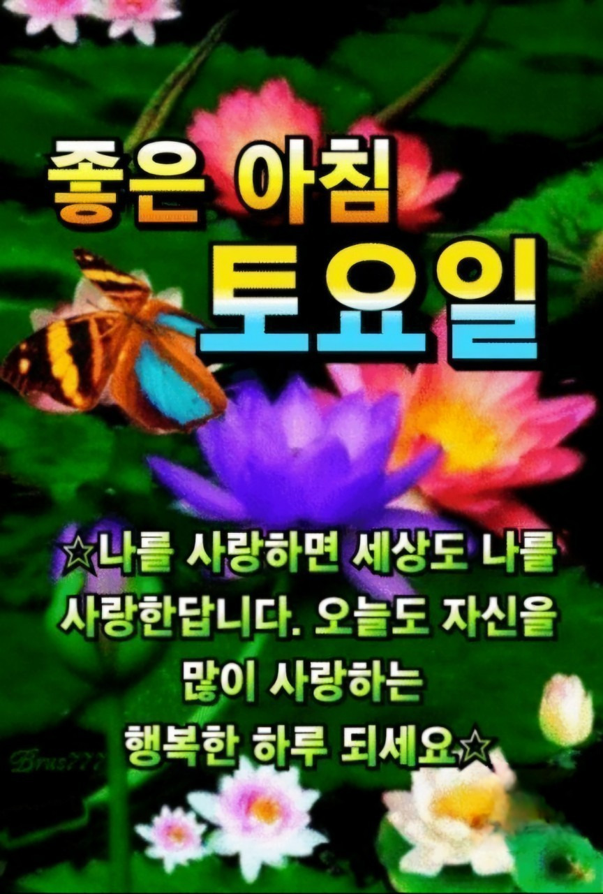 오늘의낭만 이미지