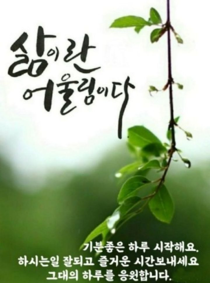 멋진인생 이미지