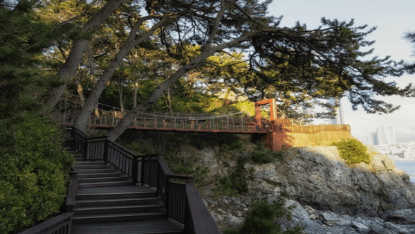 지금 가면 좋은 여행지..