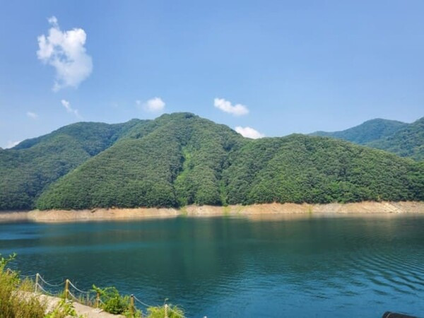 월악산특산물 이미지