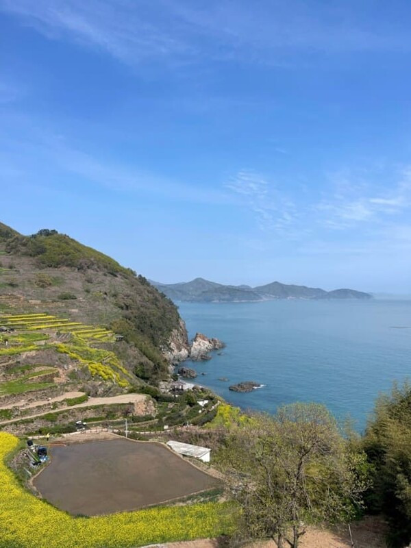 남해온 사진 7