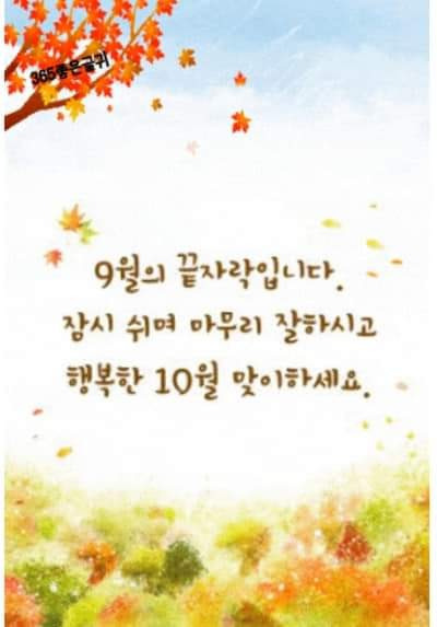 오늘의낭만 이미지