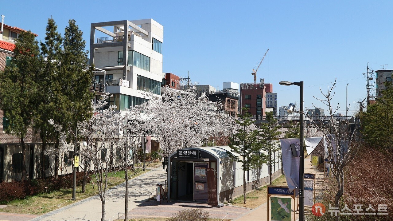 홍대앞 이미지
