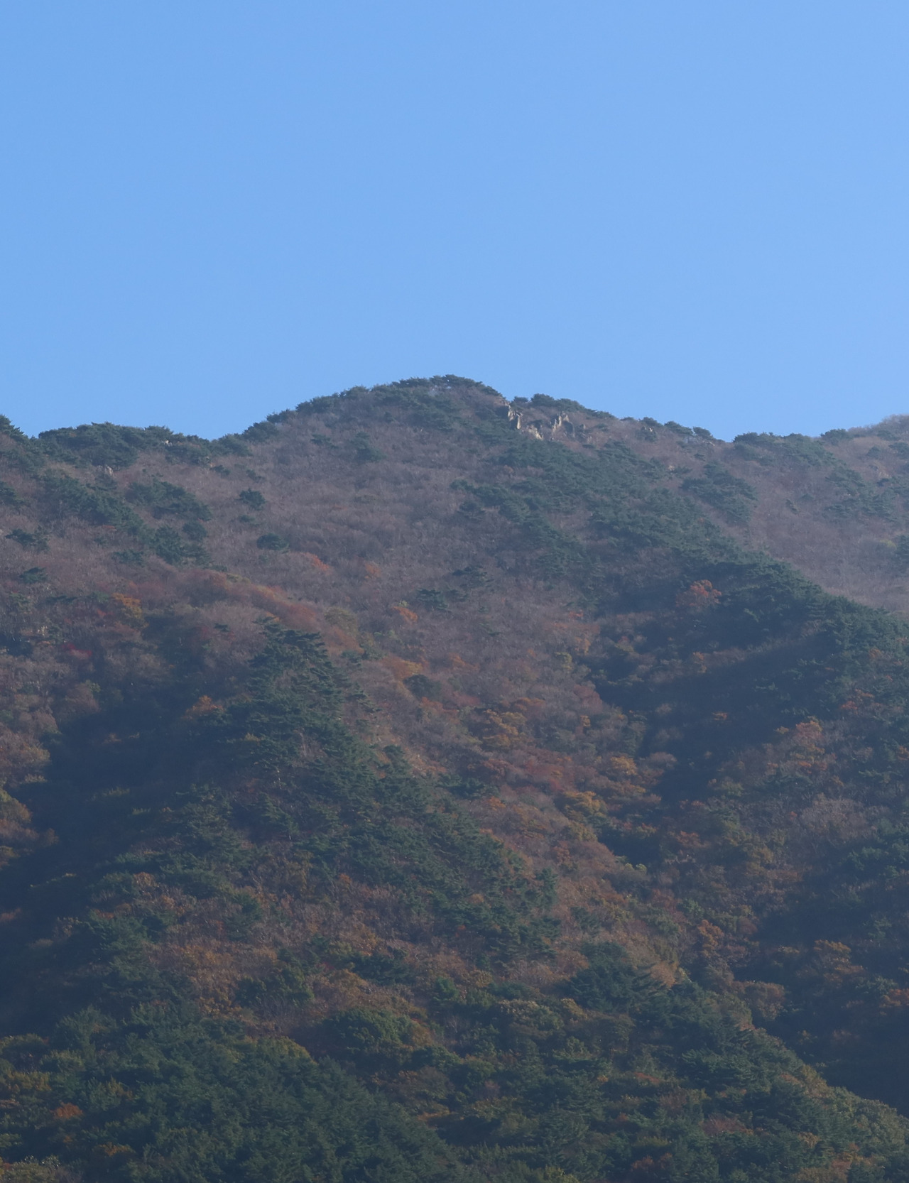 오서산 이미지