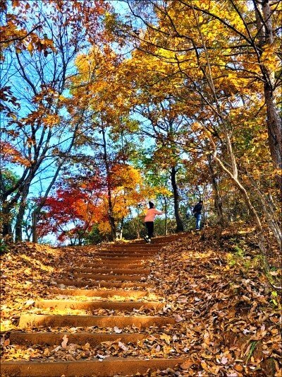 옥천풍경 이미지