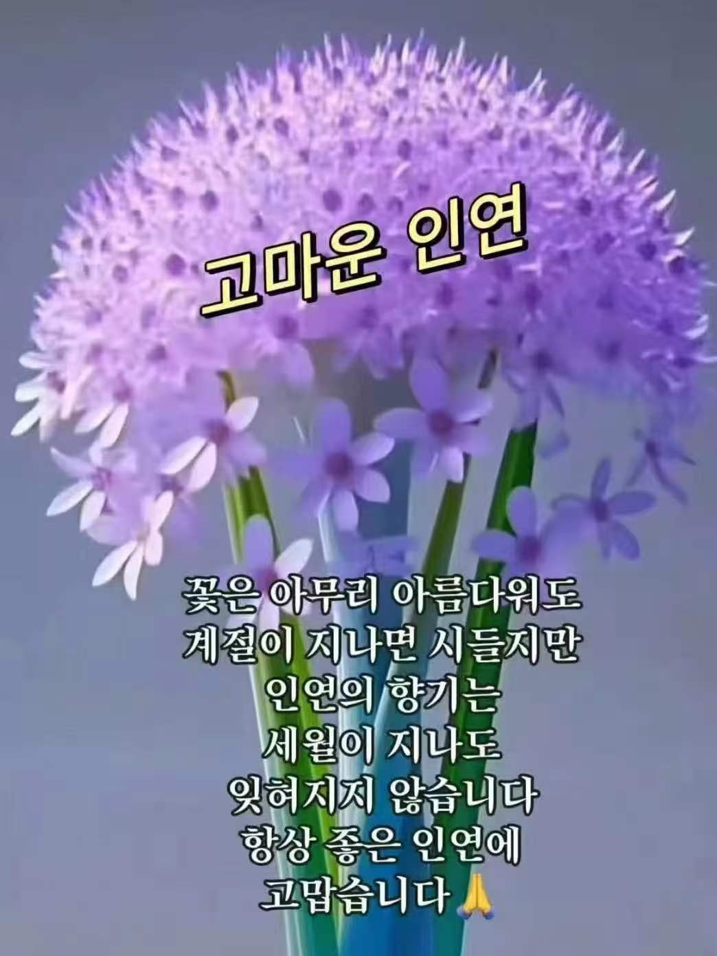 토요일 이미지