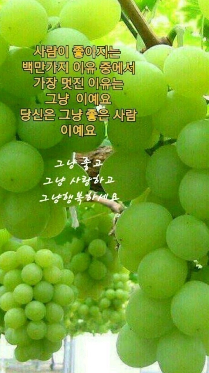 오늘의낭만 이미지