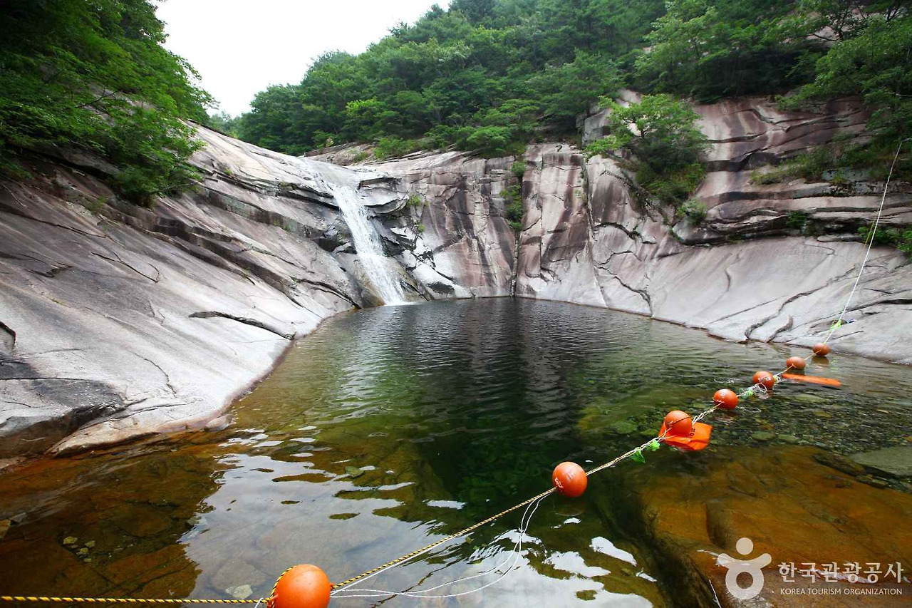 대도 이미지