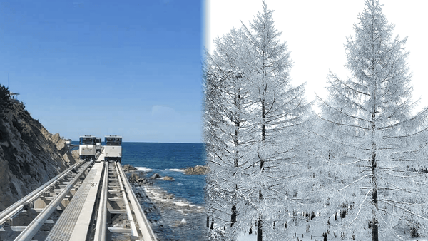 지금 가면 좋은 여행지..