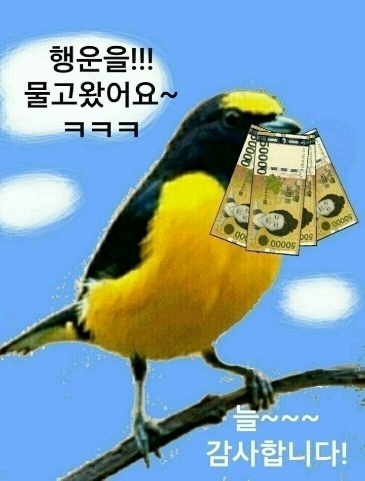 먹고합시다 이미지